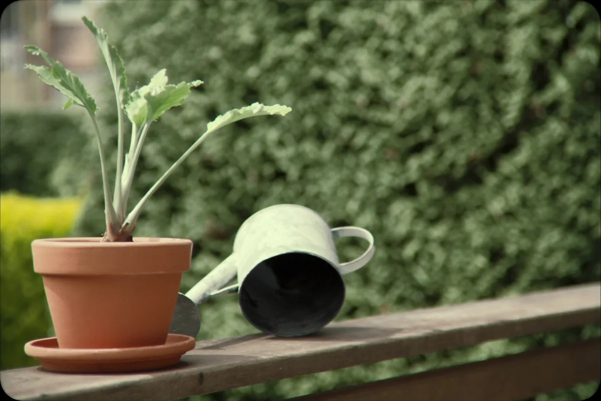 Un pot avec sa soucoupe et un arrosoir couché sur une étagère de jardin.
